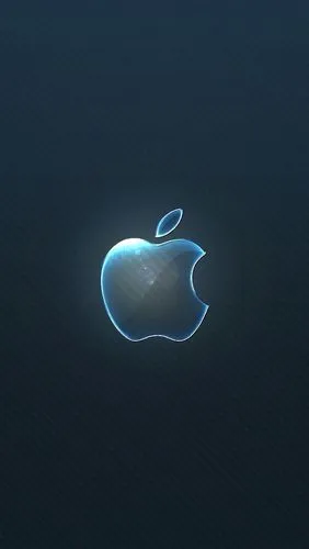 苹果手机iPhone家庭可以删除吗