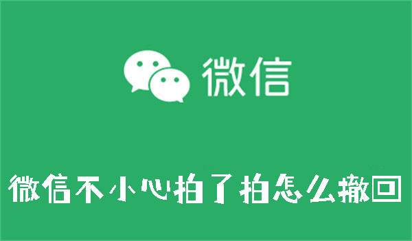 微信不小心拍了拍如何撤回
